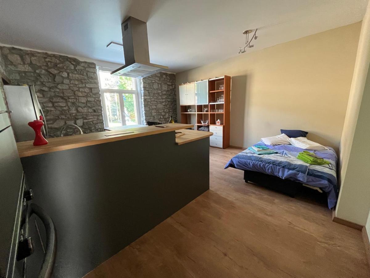 Aux Loups Blancs - Appartement Namur Dış mekan fotoğraf