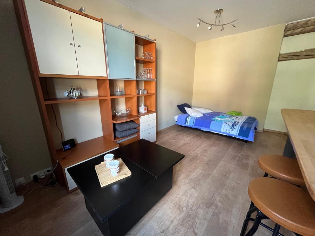 Aux Loups Blancs - Appartement Namur Dış mekan fotoğraf