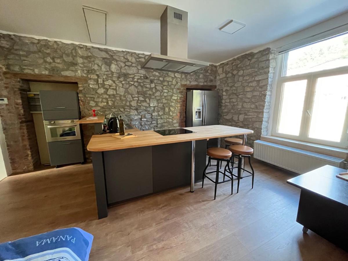 Aux Loups Blancs - Appartement Namur Dış mekan fotoğraf